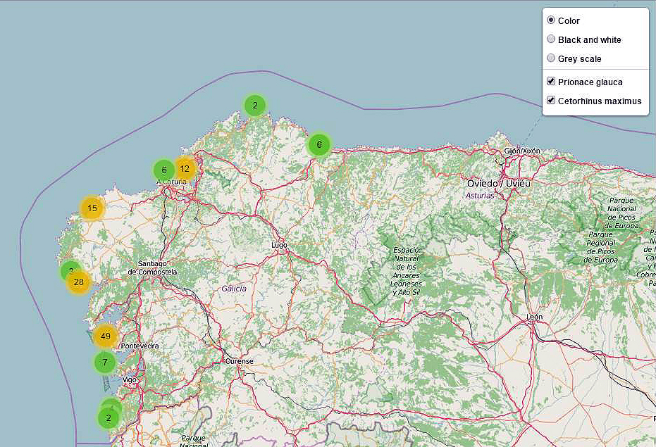 Haz click en la imagen para acceder al registro actualizado de avistamientos de tiburones pelágicos en la costa gallega. Fuente: shinyapps.io